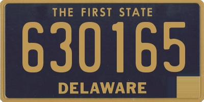 DE license plate 630165