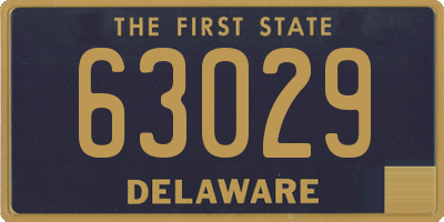 DE license plate 63029