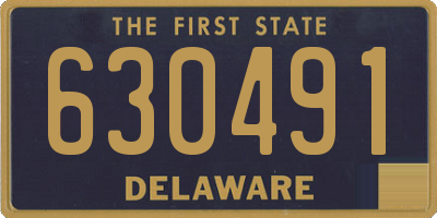 DE license plate 630491