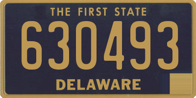 DE license plate 630493