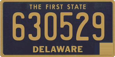 DE license plate 630529