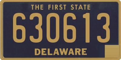 DE license plate 630613