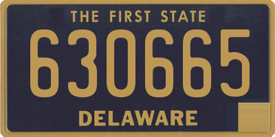 DE license plate 630665