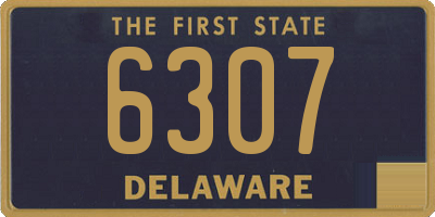 DE license plate 6307
