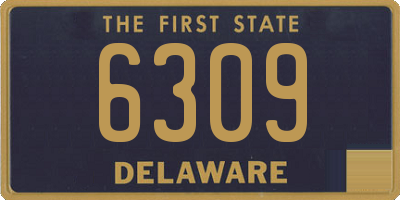 DE license plate 6309