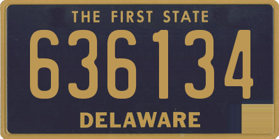 DE license plate 636134