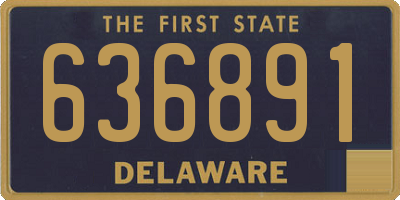 DE license plate 636891
