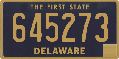 DE license plate 645273