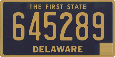 DE license plate 645289