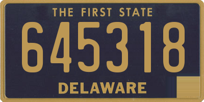 DE license plate 645318