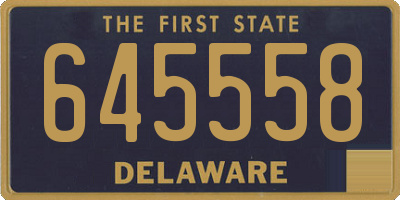 DE license plate 645558