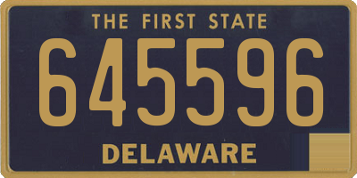 DE license plate 645596
