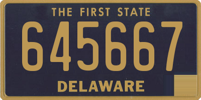 DE license plate 645667