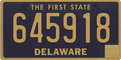DE license plate 645918