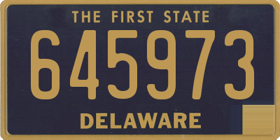 DE license plate 645973