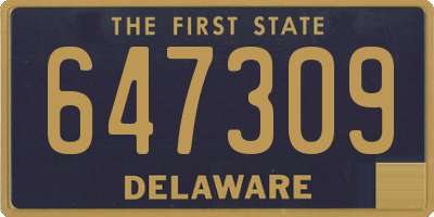 DE license plate 647309