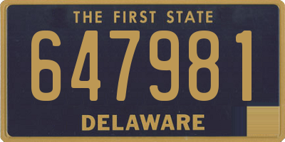 DE license plate 647981