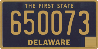 DE license plate 650073