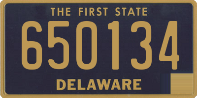 DE license plate 650134