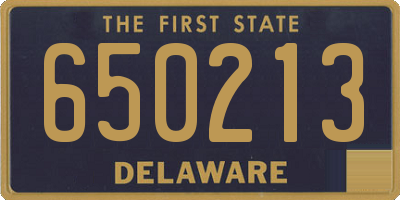 DE license plate 650213