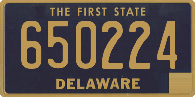 DE license plate 650224