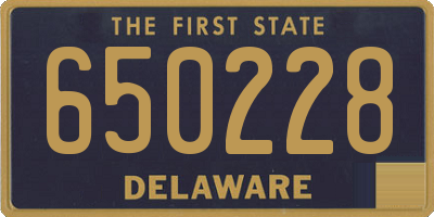 DE license plate 650228