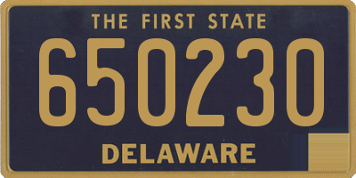 DE license plate 650230
