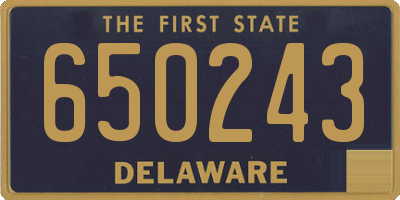 DE license plate 650243