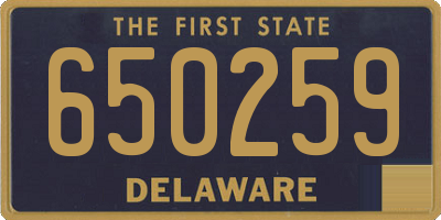 DE license plate 650259