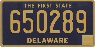 DE license plate 650289