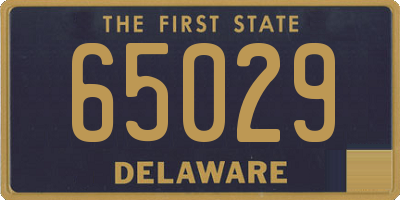 DE license plate 65029