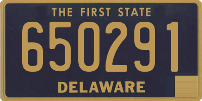 DE license plate 650291