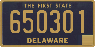 DE license plate 650301