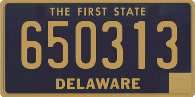 DE license plate 650313