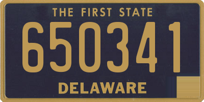 DE license plate 650341