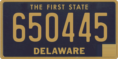 DE license plate 650445