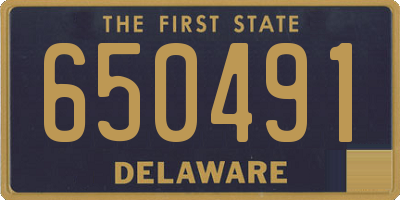 DE license plate 650491