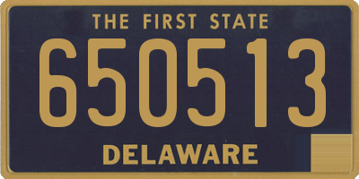 DE license plate 650513