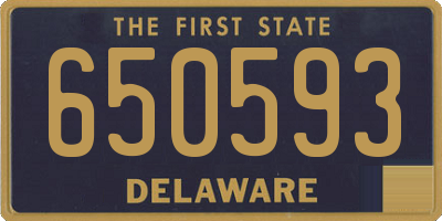 DE license plate 650593