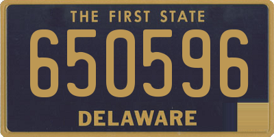 DE license plate 650596