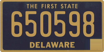 DE license plate 650598