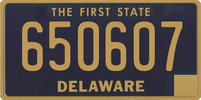 DE license plate 650607