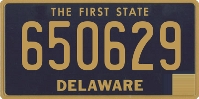 DE license plate 650629