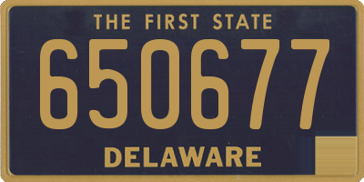 DE license plate 650677