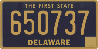 DE license plate 650737