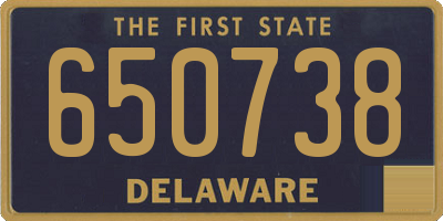 DE license plate 650738