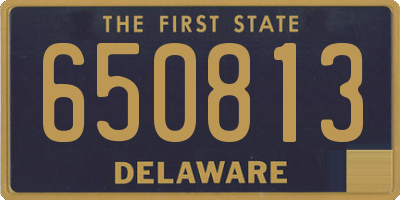 DE license plate 650813