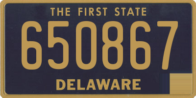 DE license plate 650867