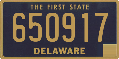 DE license plate 650917