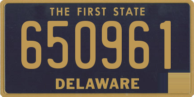 DE license plate 650961